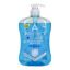 Picture of ASTONISH H/WASH CLEAN & PROTECT 600ML
