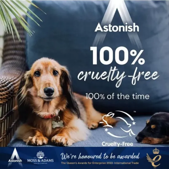 Picture of ASTONISH OXY FABRIC STAIN REMOVER NON BIO 625g