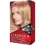 Picture of REVLON COLORSILK CHAMPAGNE BLONDE 73
